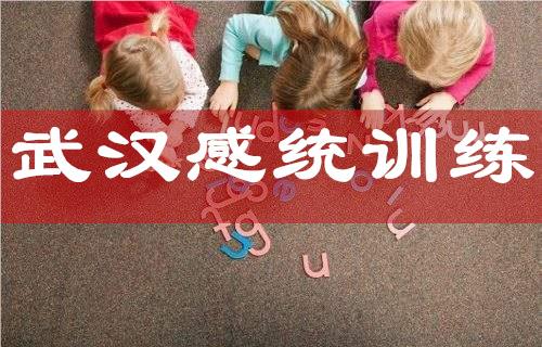 武汉硚口十大儿童感统训练机构名单一览表