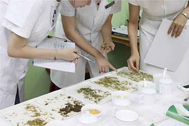 深圳罗湖区口碑较好的茶艺师培训机构名单榜首一览