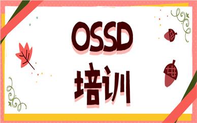 长春OSSD课程培训机构今日靠谱推荐名单榜首一览