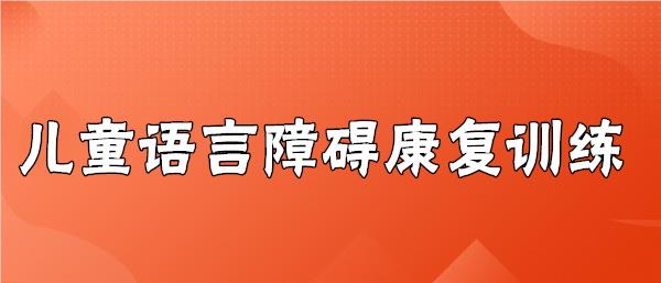 武汉汉口哪有儿童发音障碍康复训练机构名单公布