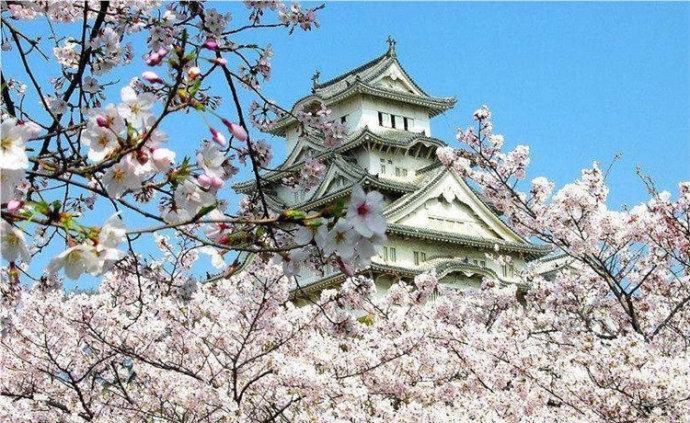 宁波十大优质的日本留学机构名单榜首一览