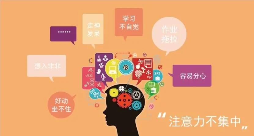 广州10大推荐儿童注意力训练机构名单榜首公布