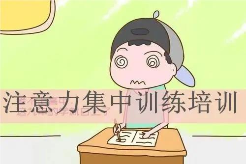 广州实力推荐儿童专注力训练机构十大榜首名单公布