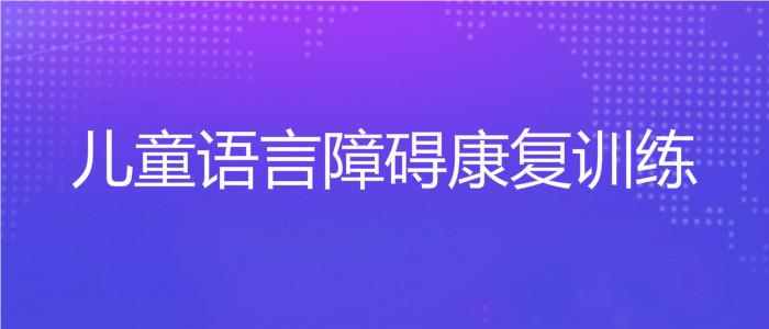 襄阳樊城区优佳加儿童语言障碍康复机构