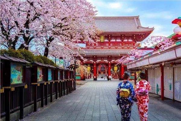 目前南京十大人气好的日本留学规划申请机构名单榜首公布