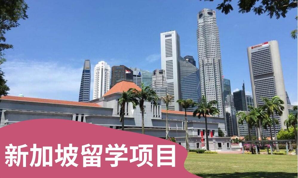 呼市精选热门的新加坡留学机构名单揭晓一览