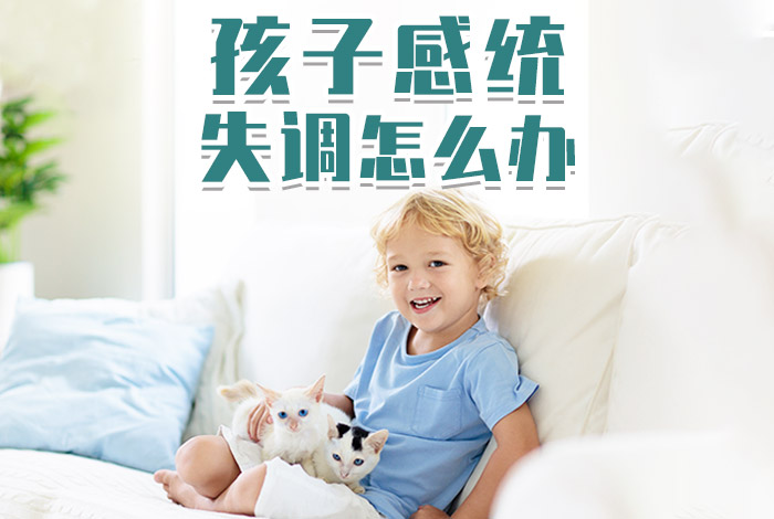 推荐宁波儿童感统失调与训练班榜单出炉