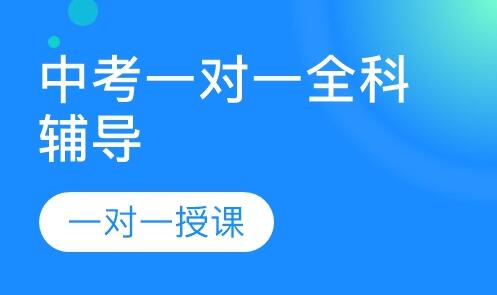 洛阳偃师区初三一对一补习辅导班哪里有