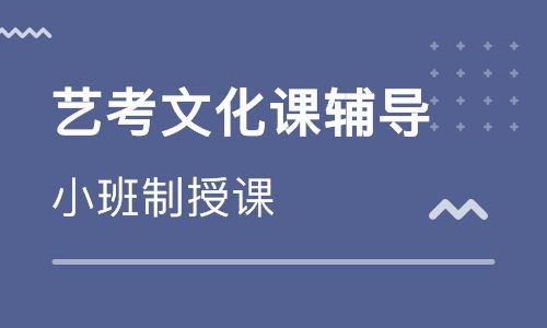 广州白云区一对一高三艺考生补课辅导机构名单精选公布