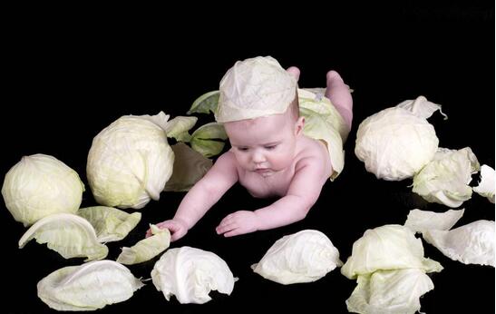 卷心菜怎么做给宝宝吃