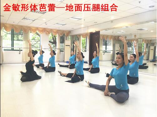 广州金敏空中瑜伽教练班