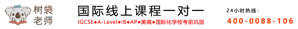 上海树袋老师国际课程在线一对一