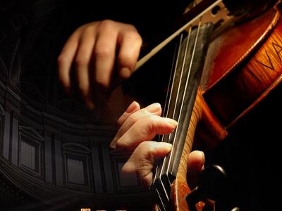 深圳哪里可以学习小提琴？