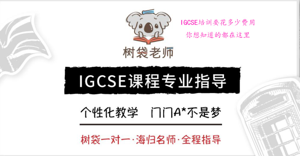 上海树袋老师IGCSE培训地址在哪 电话多少