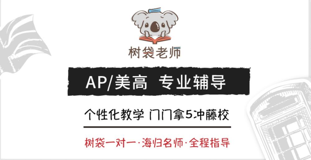 上海树袋老师AP培训班要培训多长时间