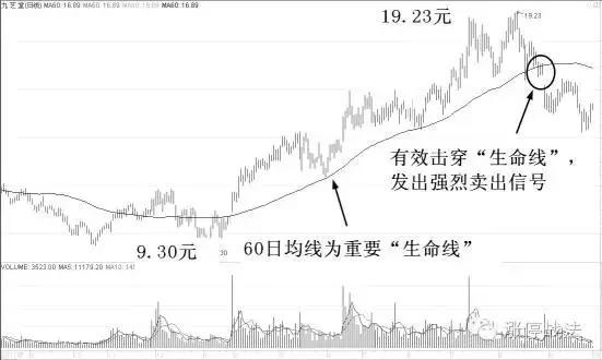 上海股票交易员培训班