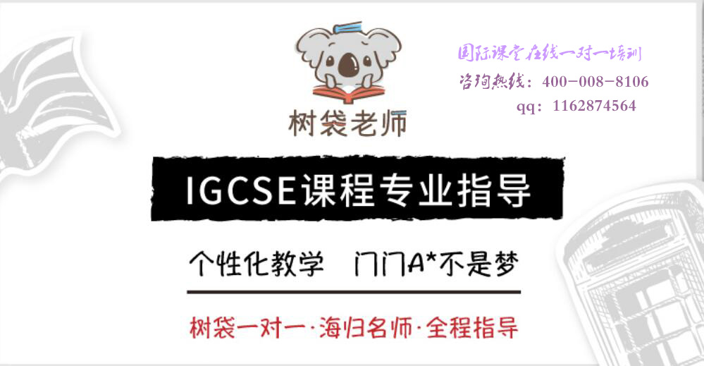 上海IGCSE培训哪家好