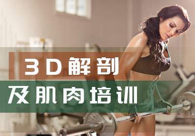 南京3D解剖及肌肉培训