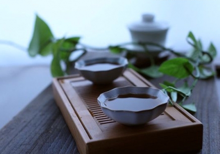 南京比较靠谱的茶艺培训机构有哪些