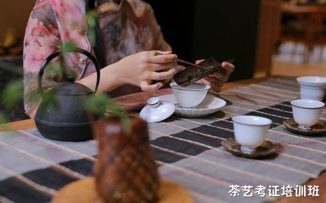 重庆考个茶艺师证在哪里报名