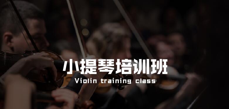 深圳小提琴一对一培训班哪家好