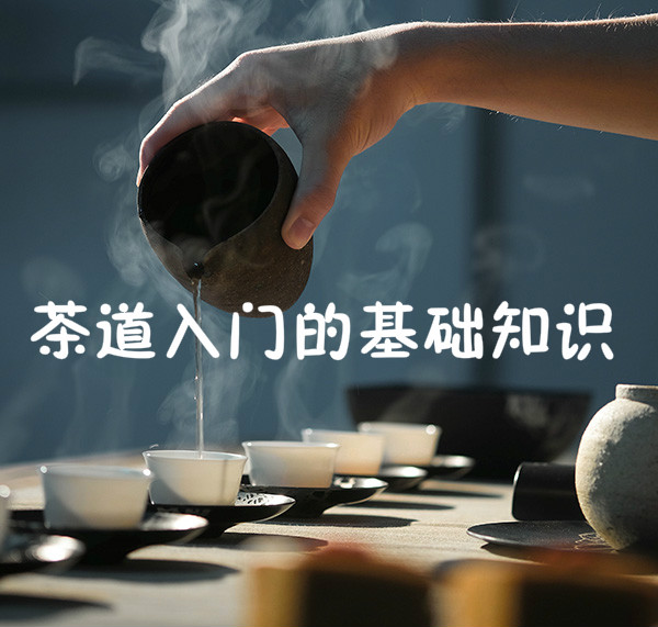 重庆茶艺师培训学校哪一家更好