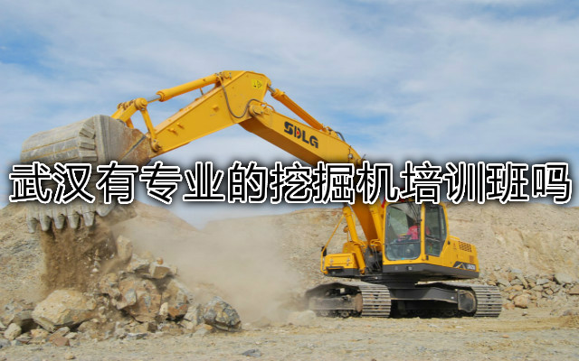 武汉有专业的挖掘机培训班吗