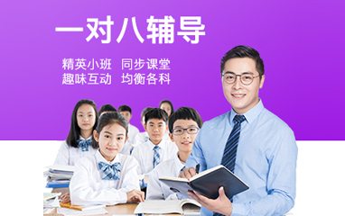 台州一对八辅导课程