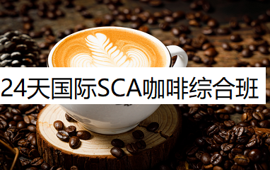 24天国际SCA咖啡综合班