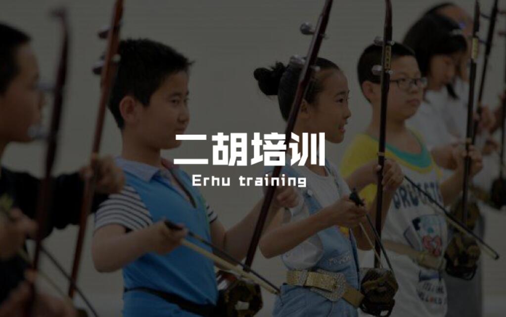 深圳南山区有哪些少儿二胡培训班