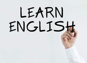 惠州有几家在线成人英语培训机构