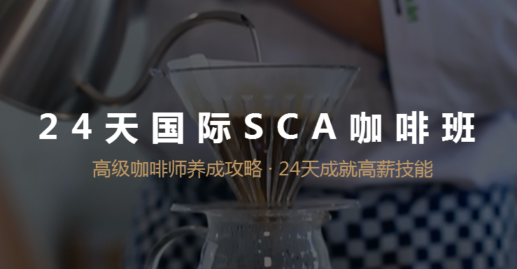 SCA咖啡综合培训班