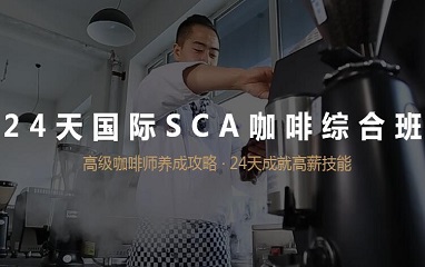 24天国际SCA咖啡综合班