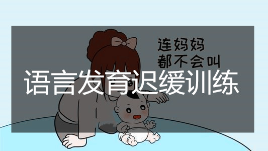 武汉儿童语言发育迟缓训练中心