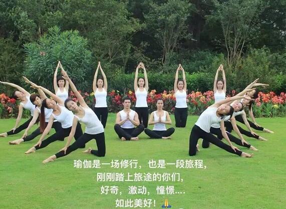 广西瑜伽教练培训哪家专业