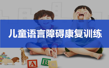 武汉儿童语言障碍康复训练