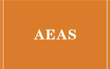 AEAS进阶课程 40课时