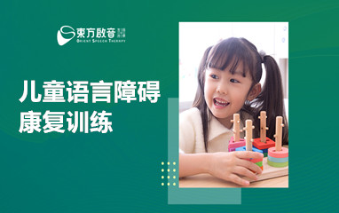 儿童语言障碍康复训练课程-武汉东方启音