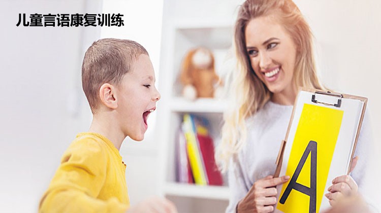 武汉儿童语言发育迟缓训练机构