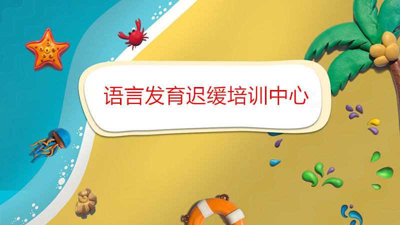 上海宝宝语言障碍发育迟缓治疗中心