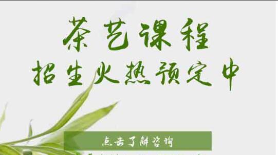 上海徐汇比较好的茶艺师培训学校