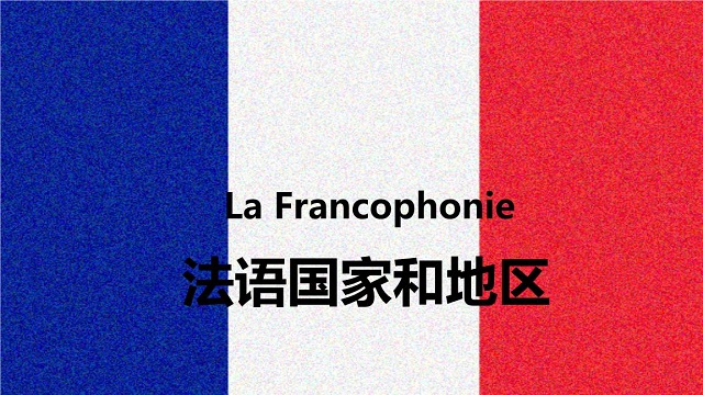 为什么这么多人学法语