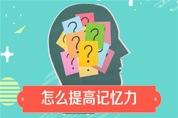重庆儿童记忆力培训机构人气榜一览表