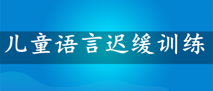 湖北几大语言康复训练机构哪家在武汉