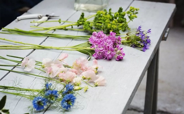 苍梧婚礼花艺师的收入大概多德信体育少？