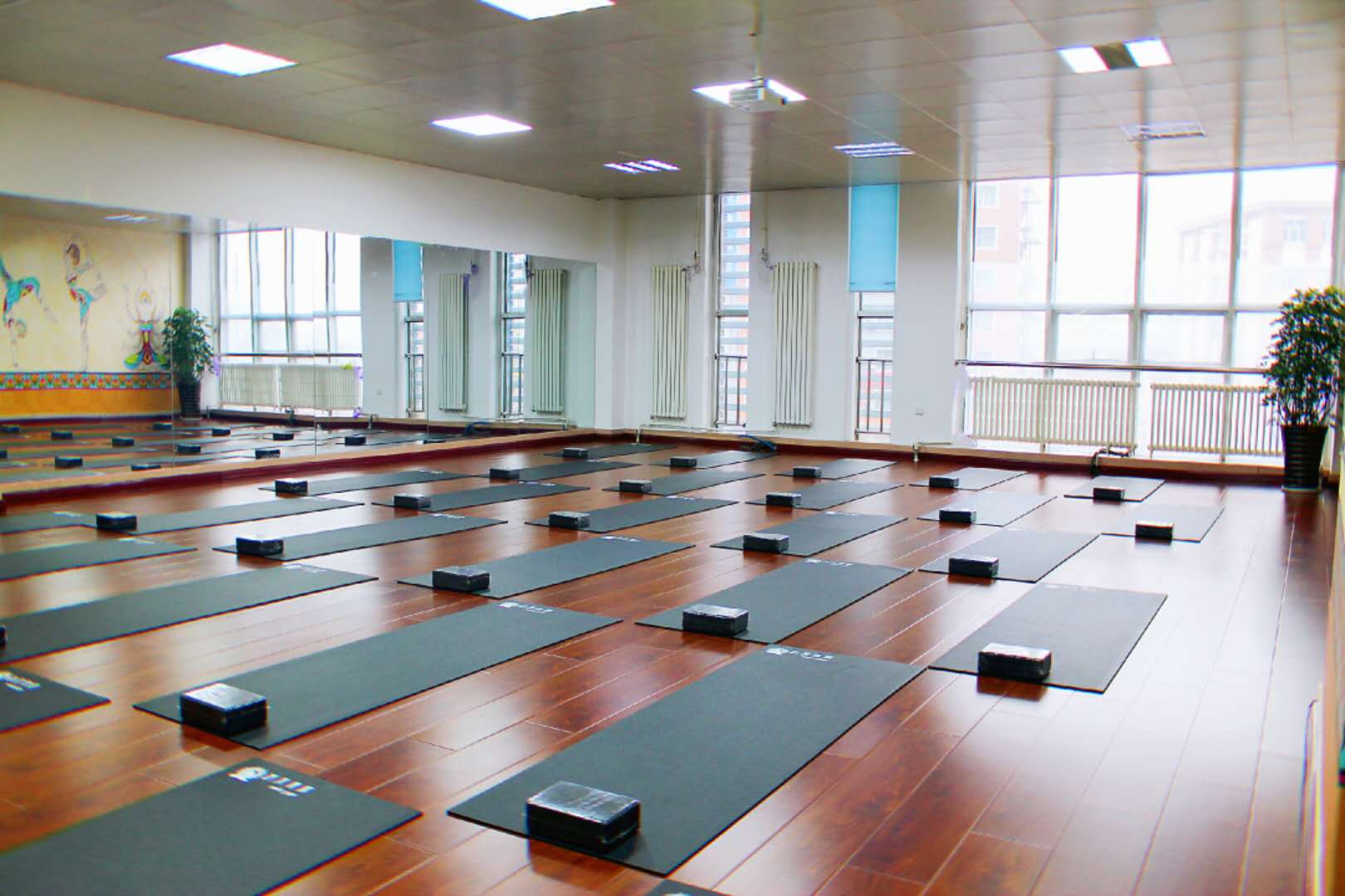 哈尔滨瑜伽教练培训中心前几的
