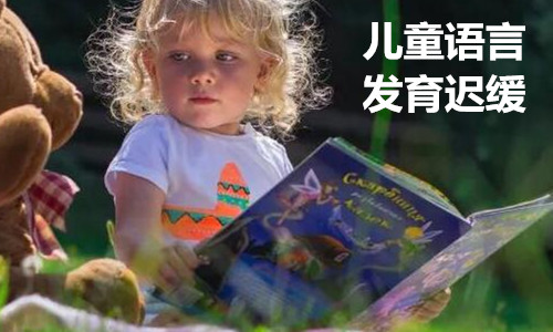 当前儿童语言发育迟缓训练机构排名