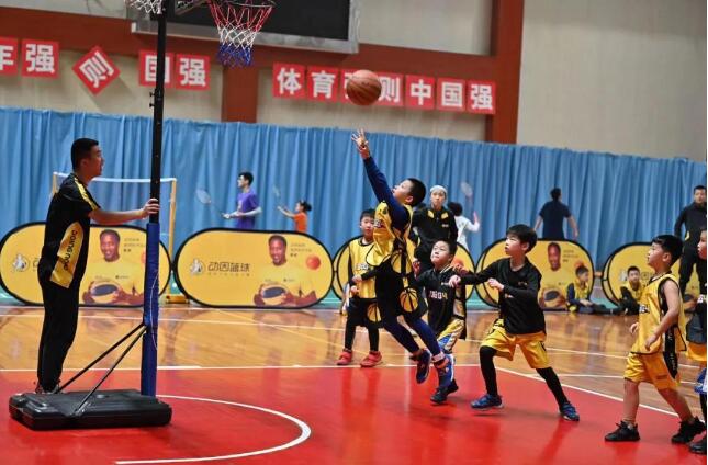 郑州哪里学习打篮球比较好