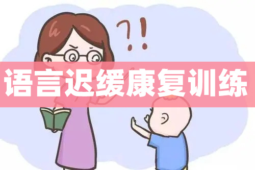 重庆哪里有排名好点的语言发育迟缓康复机构