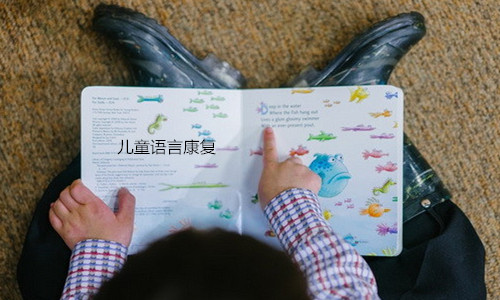 中国儿童语言康复训练中心人气前几的